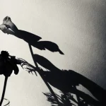 Schatten als Motiv: Mit Licht spielen – aber clever