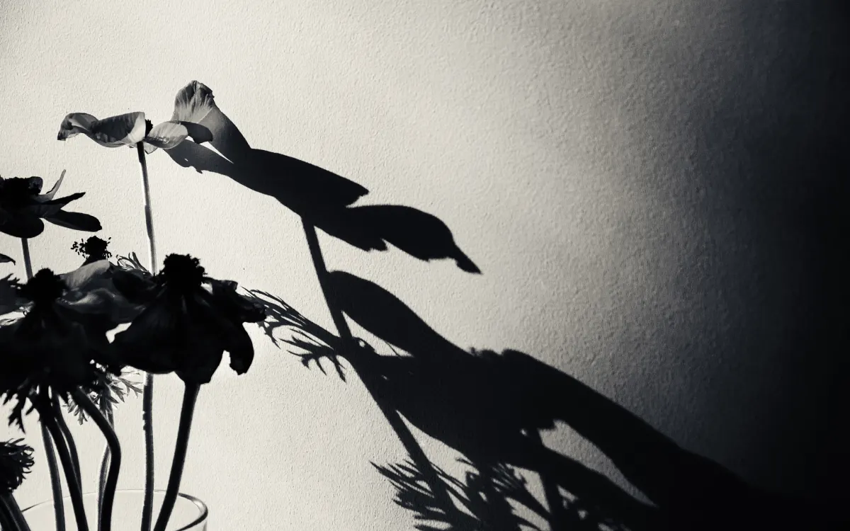Schatten als Motiv: Mit Licht spielen – aber clever