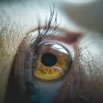 Entdecken Sie eine winzige Welt: Eine Einführung in die Makrofotografie für zu Hause